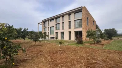 Chalet in Madremanya photo 6