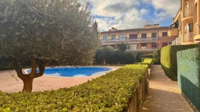 Apartment in Avinguda de Catalunya Area photo 5