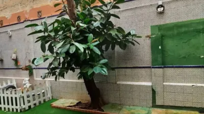 Apartment in Son Armadans photo 45