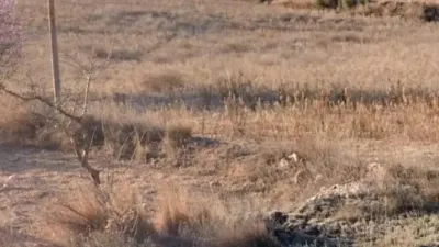 Terreno en venta en La Romana - Vista 2