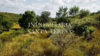 Rustic property in Villanueva de La Vera photo 12