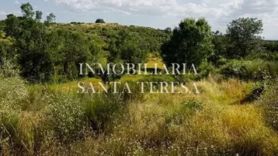 Rustic property in Villanueva de La Vera photo 13
