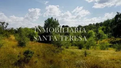 Rustic property in Villanueva de La Vera photo 16