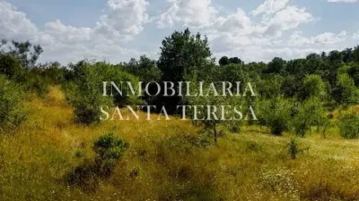 Rustic property in Villanueva de La Vera photo 4