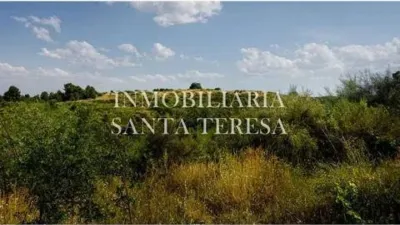 Rustic property in Villanueva de La Vera photo 6
