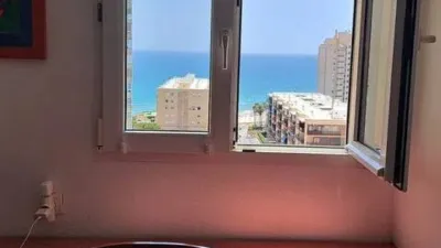 Apartment in Platja Muchavista photo 24