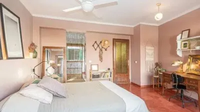Apartment on Carrer del Bisbe Maura photo 14