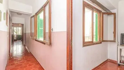 Apartment on Carrer del Bisbe Maura photo 21