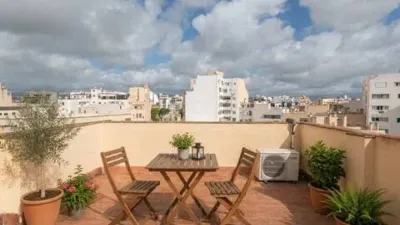 Apartment on Carrer del Bisbe Maura photo 25