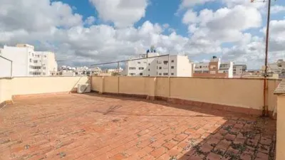 Apartment on Carrer del Bisbe Maura photo 26