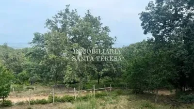 Rustic house in Villanueva de La Vera photo 11