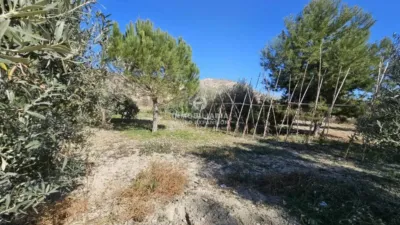 Terreno en venta en Aspe - Vista 2