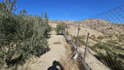 Terreno en venta en Aspe - Més