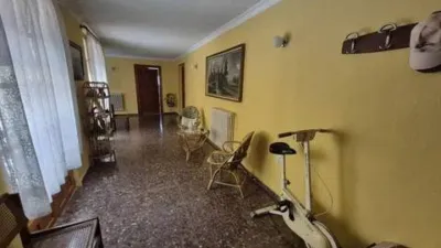 Miniatura 11