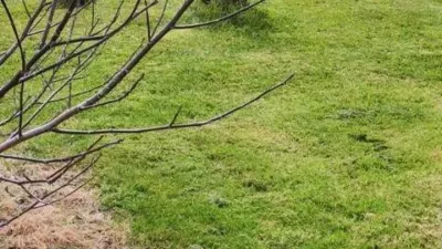 Terreno en venta en A Chantada (Requeira) - Vista 3