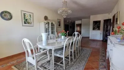 Chalet in Centro photo 14
