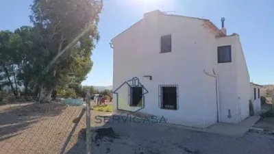 Chalet in Hellín photo 3