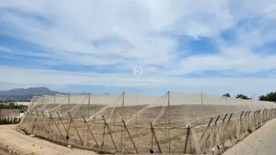 Terreno en venta en Aspe - Vista 2
