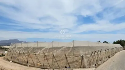 Terreno en venta en Aspe - Vista 3