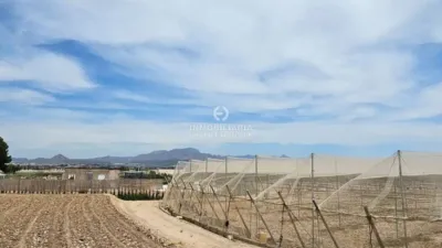 Terreno en venta en Aspe - Vista 4