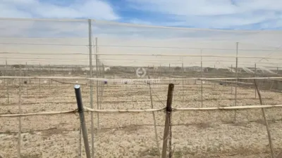Terreno en venta en Aspe - Vista 5