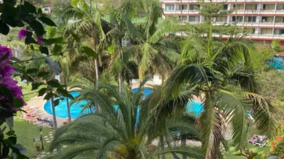 Apartment on Calle Aceviño photo 2