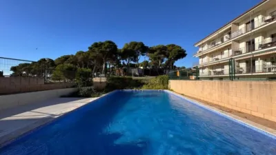 Chalet on Carrer de Sa Tamardia photo 5