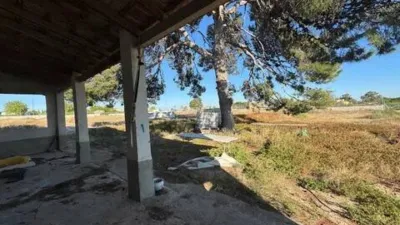 Chalet in University Area photo 30