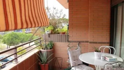 Apartment on Calle de los Hermanos Machado photo 30