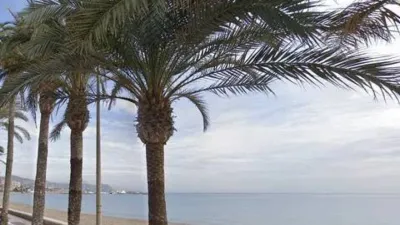 Apartment in El Campello Playa photo 14