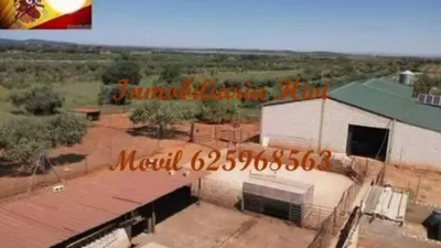 Nave industrial en venta en Almendral - Vista 4