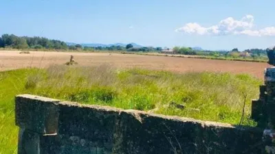 Rustic house in Muro photo 6