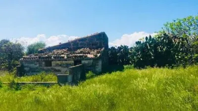 Rustic house in Muro photo 2