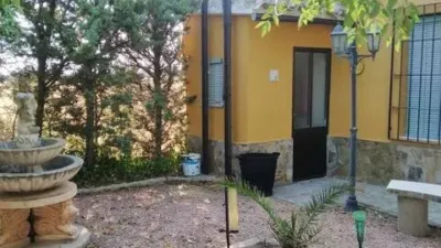 Miniatura 11