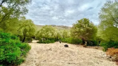 Rustic property in Ciutat d'Alcúdia photo 7