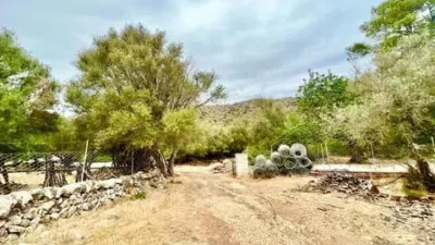 Rustic property in Ciutat d'Alcúdia photo 13