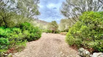 Rustic property in Ciutat d'Alcúdia photo 4