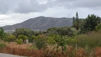 Apartment in Albir Centre photo 17
