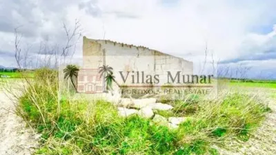 Rustic house in Muro photo 3