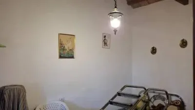 Miniatura 11