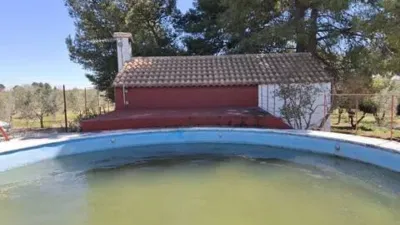 Miniatura 12