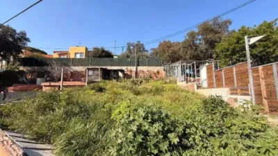 Chalet in Palafrugell Poble photo 4