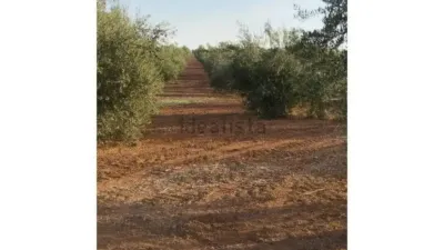 Casa - Vista 4