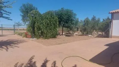 Miniatura 12