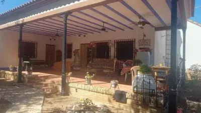 Miniatura 7