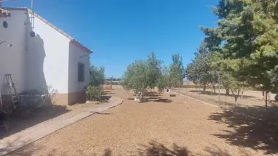 Miniatura 9