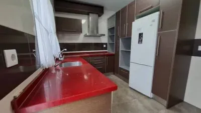 Miniatura 11