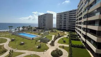 Pis – Orihuela, Urbanización Horizonte - Vista 4