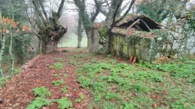 Casa rústica en venta en O Saviñao, O Saviñao de 52.000 €