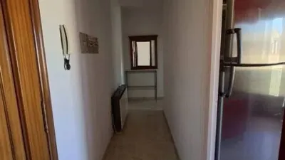 Miniatura 11